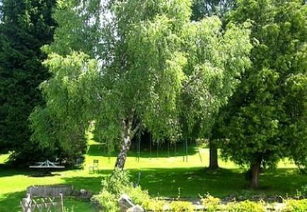 Hotel La Clairiere Chambon-sur-Dolore Kültér fotó